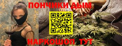 шишки Кандалакша